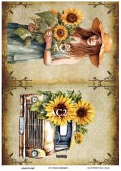 Ayçiçeği Desenli Pirinç Dekopaj Model : AÇ02 - Line Art