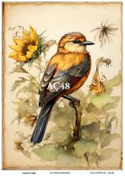 Ayçiçeği Desenli Pirinç Dekopaj Model : AÇ48 - Line Art