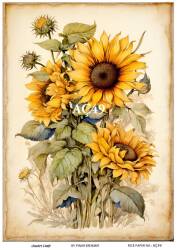 Ayçiçeği Desenli Pirinç Dekopaj Model : AÇ49 - Line Art