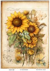 Ayçiçeği Desenli Pirinç Dekopaj Model : AÇ52 - Line Art