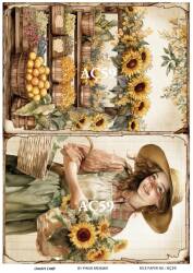 Ayçiçeği Desenli Pirinç Dekopaj Model : AÇ59 - Line Art