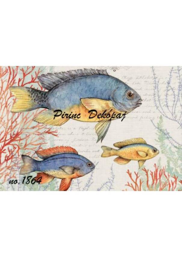 Balık Desenli Pirinç Dekopaj Model : 1864 - 1