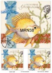 Balik Figürü Desenli Pirinç Dekopaj Model : MRN 38 - Line Art