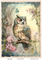 Baykuş ve Çiçek Desenli Pirinç Dekopaj Model : 6072 - Line Art