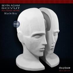 Beyin Adam Kafası Soyut Heykel (33x23cm) Ham Polyester - Tual Hobi Sanat