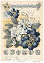 Blue Berry Desenli Pirinç Dekopaj Model : BLB02 - Line Art