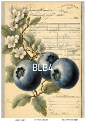 Blue Berry Desenli Pirinç Dekopaj Model : BLB04 - Line Art