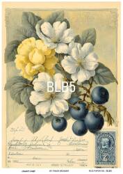 Blue Berry Desenli Pirinç Dekopaj Model : BLB05 - Line Art