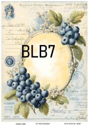 Blue Berry Desenli Pirinç Dekopaj Model : BLB07 - Line Art