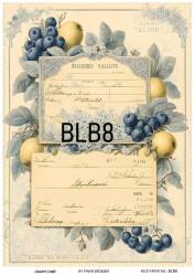 Blue Berry Desenli Pirinç Dekopaj Model : BLB08 - Line Art