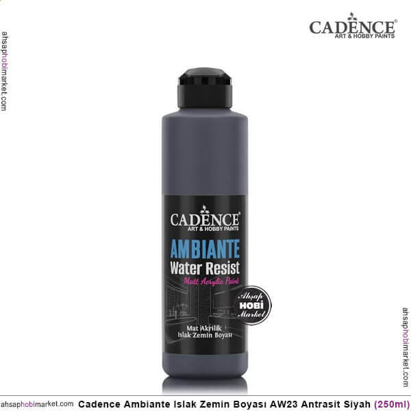 Cadence Ambiante Islak Zemin Boyası Antrasit Siyah 250ml AW23 - 1