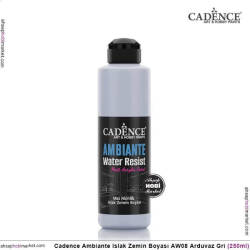 Cadence Ambiante Islak Zemin Boyası Arduvaz Gri 250ml AW08 - Cadence