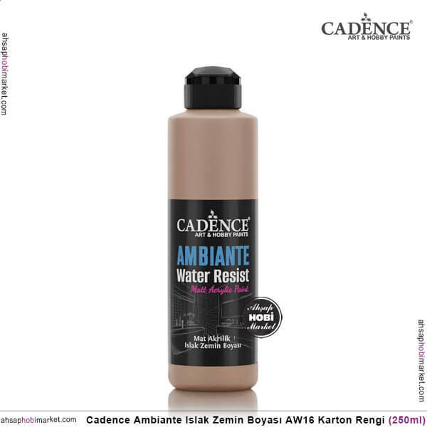 Cadence Ambiante Islak Zemin Boyası Karton 250ml AW16 - 1