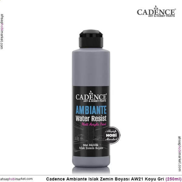 Cadence Ambiante Islak Zemin Boyası Koyu Gri 250ml AW21 - 1