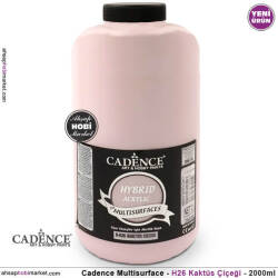 Cadence Hybrid Multisurface H026 Kaktüs Çiçeği Akrilik Boya 2000 ml - Cadence