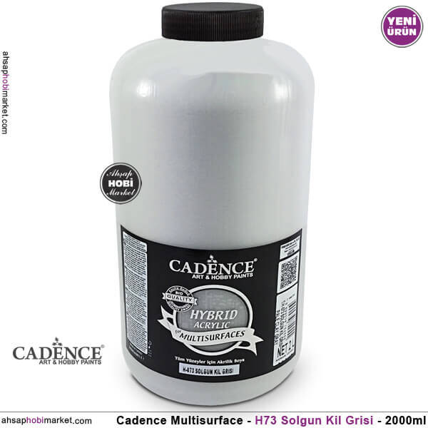 Cadence Hybrid Multisurface H073 Solgun Kil Grisi Akrilik Boya 2000 ml - 1