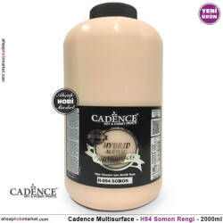 Cadence Hybrid Multisurface H094 Somon Akrilik Boya 2000 ml - Cadence