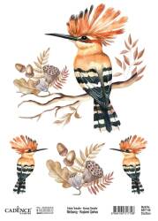 Cadence Kuşların Şarkısı Kumaş Transfer Kağıdı BRFT-06 - Cadence