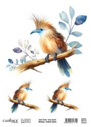 Cadence Kuşların Şarkısı Kumaş Transfer Kağıdı BRFT-07 - Cadence