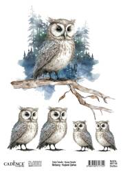 Cadence Kuşların Şarkısı Kumaş Transfer Kağıdı BRFT-08 - Cadence