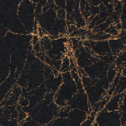 Cadence Mermer Efekti Marble Effect Gold 200 ml - 3