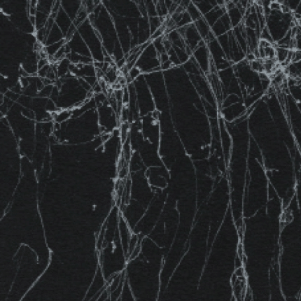 Cadence Mermer Efekti Marble Effect Gümüş 200 ml - 3