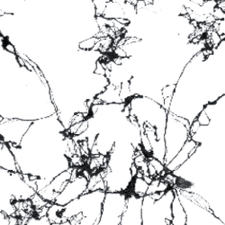 Cadence Mermer Efekti Marble Effect Siyah 200 ml - 3