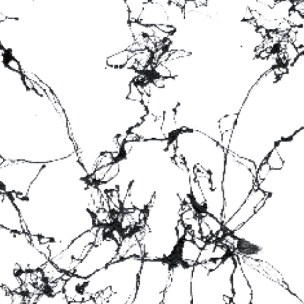 Cadence Mermer Efekti Marble Effect Siyah 200 ml - 3