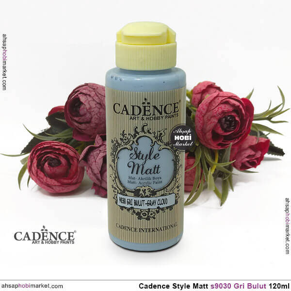 Cadence Style Matt s9030 Gri Bulut Akrilik Boya 120ml - 2