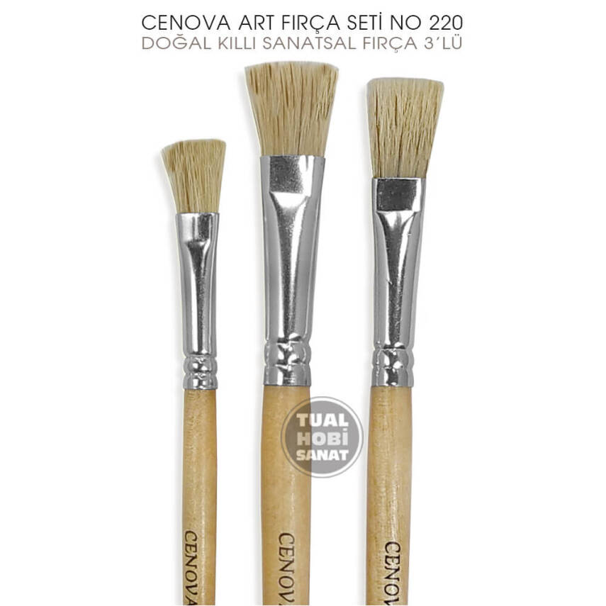 Cenova Art No:220 Doğal Kıllı 3'lü Sanatsal Fırça Seti - 3