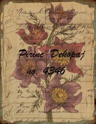 Çiçek Desenli Pirinç Dekopaj Model : 4346 - Line Art