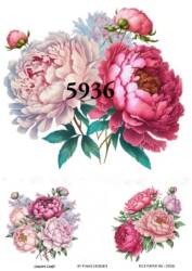 Çiçek Desenli Pirinç Dekopaj Model : 5936 - Line Art