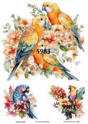 Çiçek ve Papağan Desenli Pirinç Dekopaj Model : 5983 - Line Art