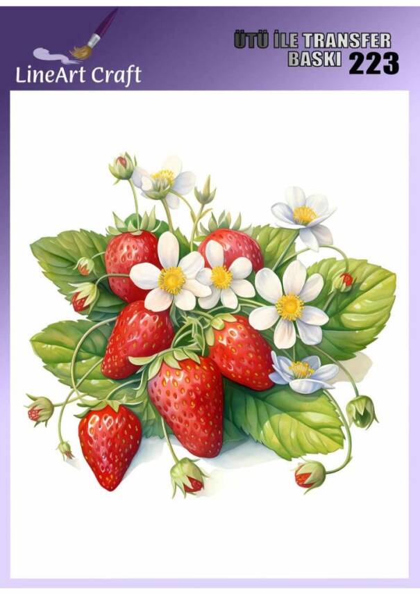Çilek Desenli Kumaş Transfer Kağıdı LNT-K223 (20x20 cm) - 1