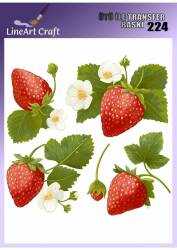 Çilek Desenli Kumaş Transfer Kağıdı LNT-K224 (20x20 cm) - Line Art