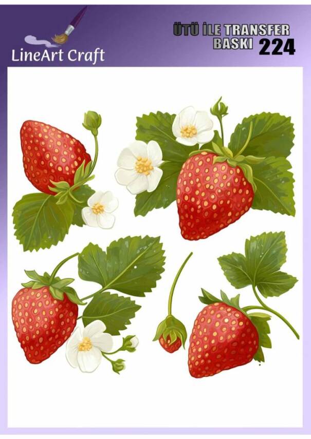 Çilek Desenli Kumaş Transfer Kağıdı LNT-K224 (20x20 cm) - 1