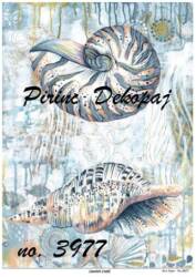 Deniz Kabuğu Desenli Pirinç Dekopaj Model : 3977 - Line Art