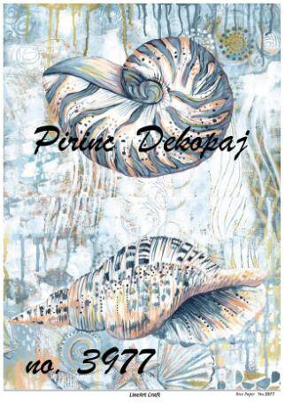 Deniz Kabuğu Desenli Pirinç Dekopaj Model : 3977 - 1