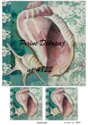 Deniz Kabuğu Desenli Pirinç Dekopaj Model : 4822 - Line Art