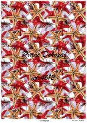 Deniz Yıldızı Figürlü Pirinç Dekopaj Model : 4612 - Line Art