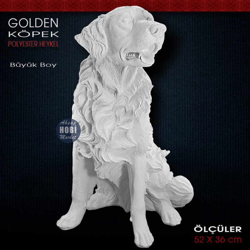 Golden Köpek Heykeli Dev Boy (52x36 cm) Ham Polyester - 1