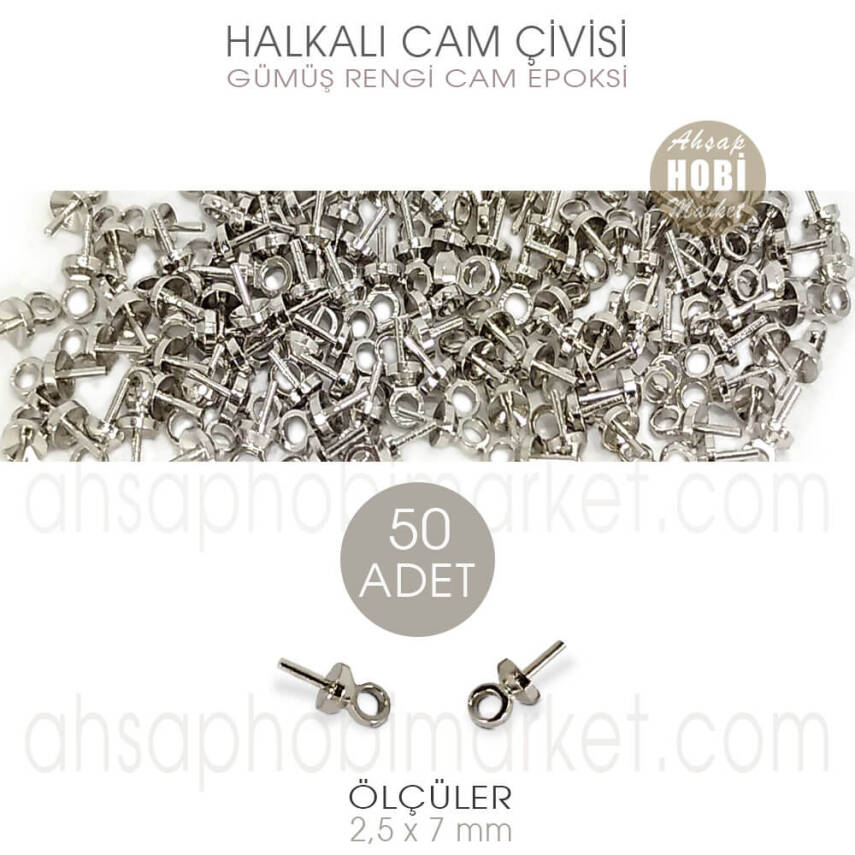 Halkalı Cam ve Epoksi Çivisi 50 Adet (2,5x7 mm) Parlak Gümüş - 1