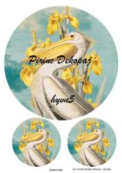 Hayvan Temalı Pirinç Dekopaj Model : HYVN05 - Line Art