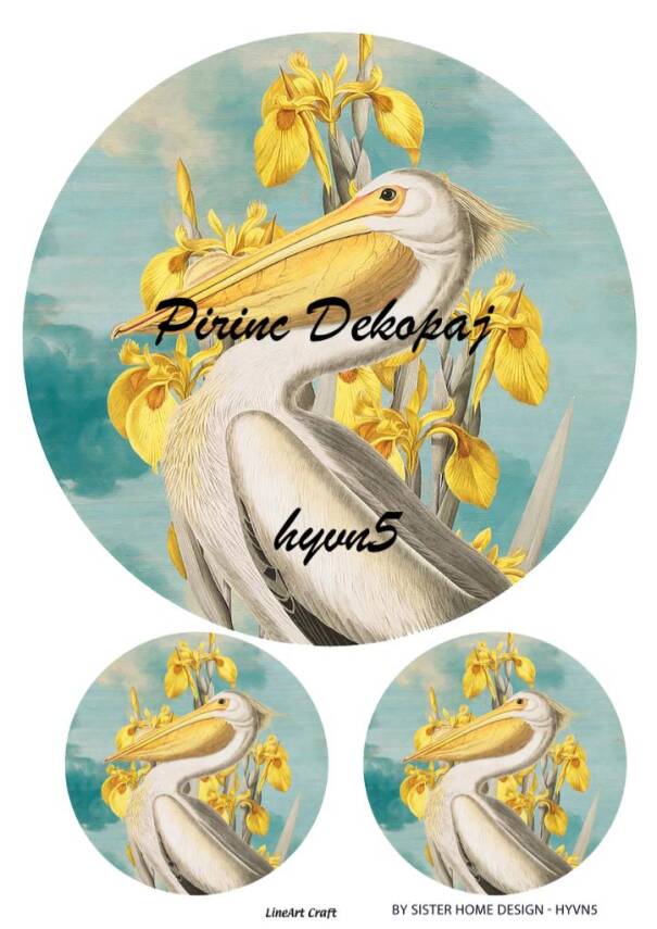 Hayvan Temalı Pirinç Dekopaj Model : HYVN05 - 1