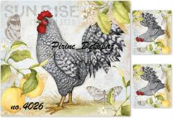 Horoz Desenli Pirinç Dekopaj Model : 4026 - Line Art