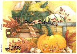 Kabak Desenli Pirinç Dekopaj Model : 3986 - Line Art