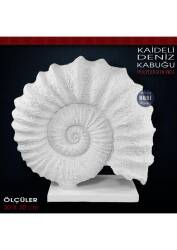 Kaideli Deniz Kabuğu Heykeli (30x30 cm) Ham Polyester - Tual Hobi Sanat
