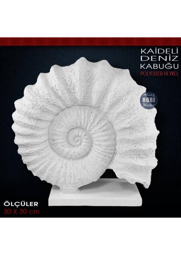 Kaideli Deniz Kabuğu Heykeli (30x30 cm) Ham Polyester - 1