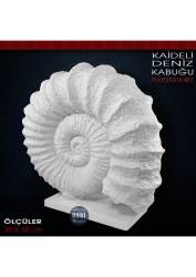 Kaideli Deniz Kabuğu Heykeli (30x30 cm) Ham Polyester - Tual Hobi Sanat (1)