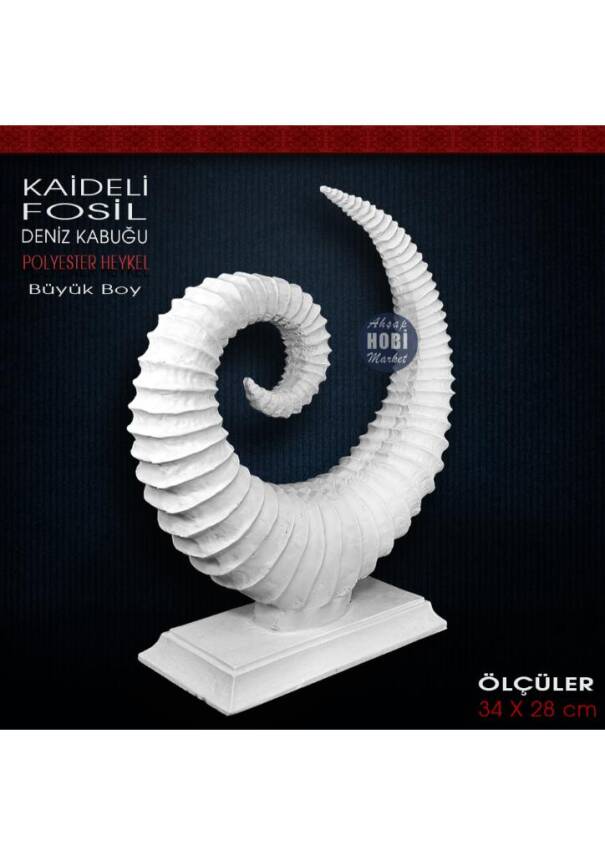 Kaideli Fosil Deniz Kabuğu Heykeli (34x28 cm) Ham Polyester - 2